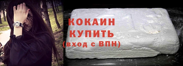 индика Заволжье
