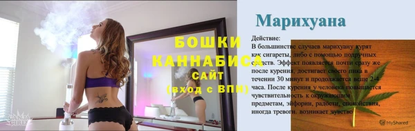 индика Заволжье