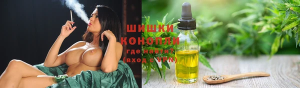 хмурый Заводоуковск