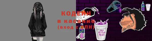 индика Заволжье