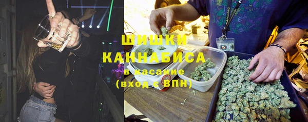 хмурый Заводоуковск