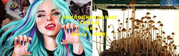 хмурый Заводоуковск