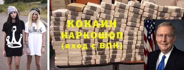 индика Заволжье
