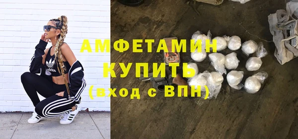 индика Заволжье