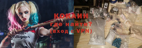 индика Заволжье