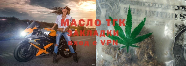 индика Заволжье