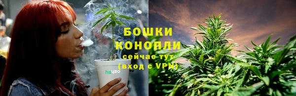 хмурый Заводоуковск