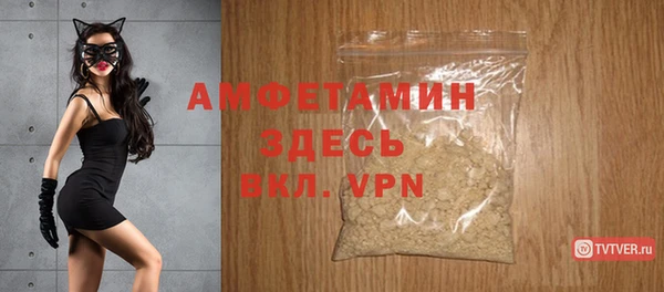 индика Заволжье