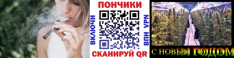 Марихуана гибрид  Купить  Заполярный 